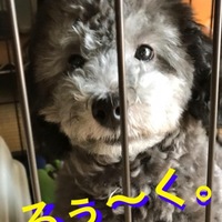るぅ〜く。
