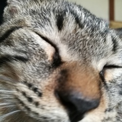 子供みたいなもんだ