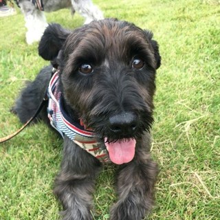 とても、甘えたな男の子♪