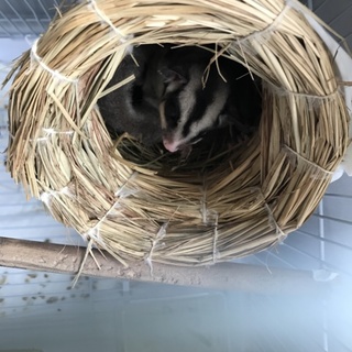 ありがとうございました