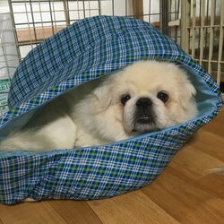 「我が家の日常」サムネイル3