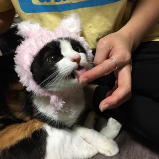 仲良し過ぎて離せません