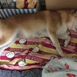 良かった(*´-`)本当に！