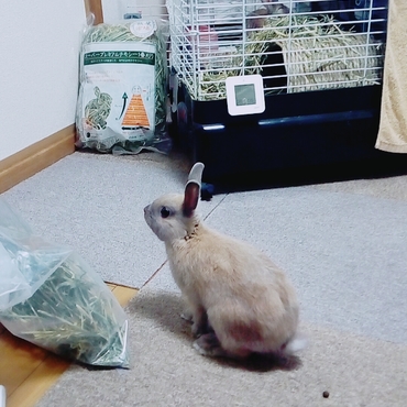 の写真