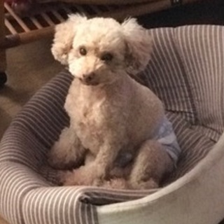 １０歳でもとっても元気です。