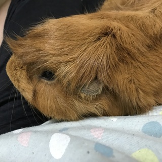 可愛い親子二匹