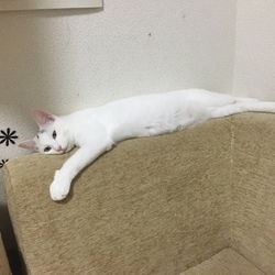 新しい家族と幸せ