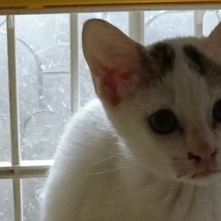 食いしん坊な風太くん