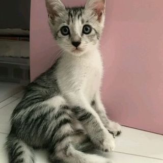 幸せな未来をお約束下さるご家族に！