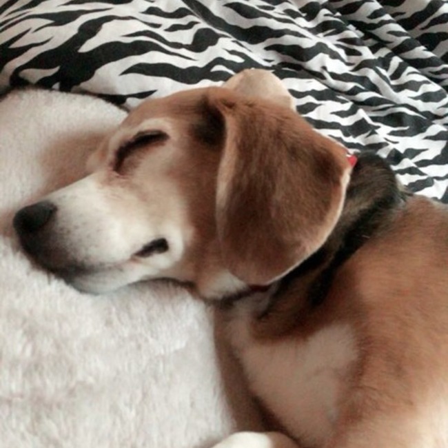あおひばのカバー写真