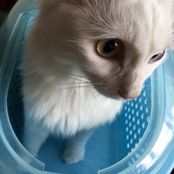 完治しました(,,> <,,)♡