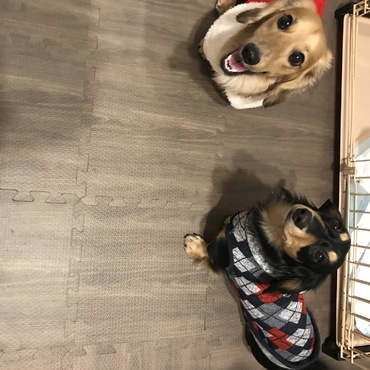 レオはサンタ似合うね〜（笑）クウはデート服を(*´∀｀*)（笑）