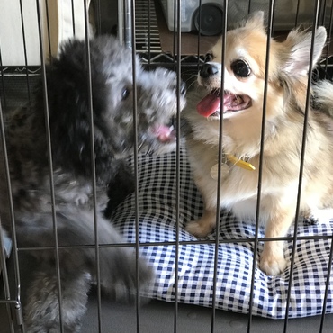 仲良くね〜
