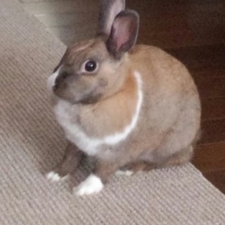 飼育のためのフルセット付きです。