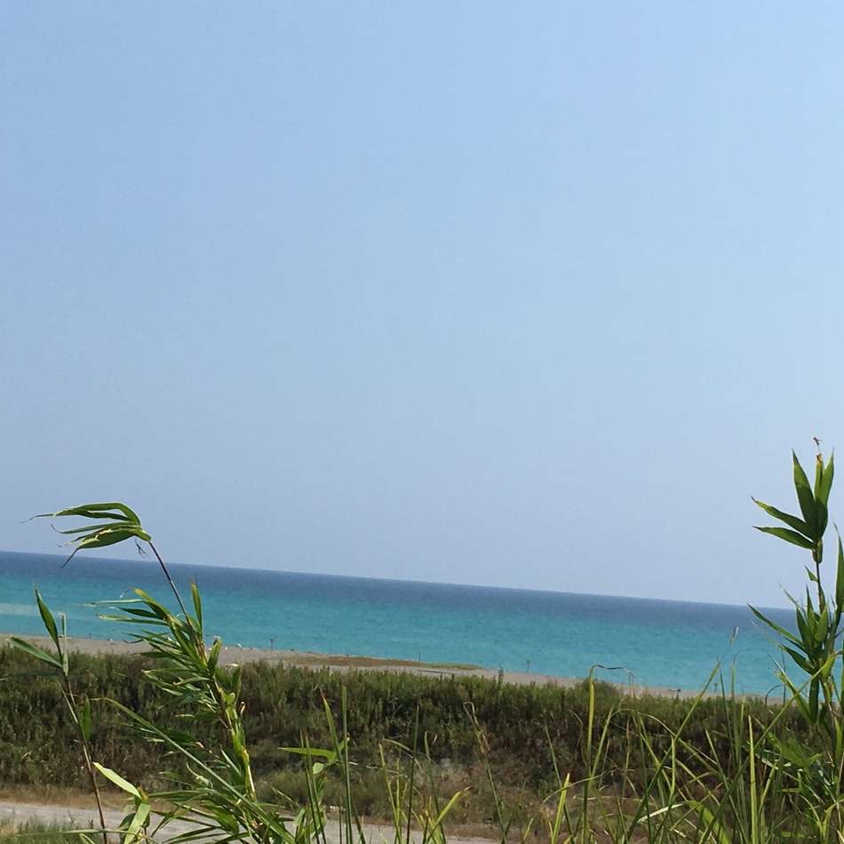 キラのカバー写真