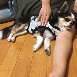 「腕枕」サムネイル1