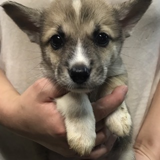 ♂362 里親募集です！