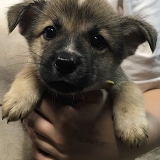 ♂360 里親募集です！