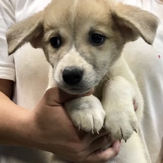 ♂369 里親募集です！