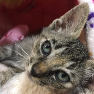 一人ぼっちの女の子