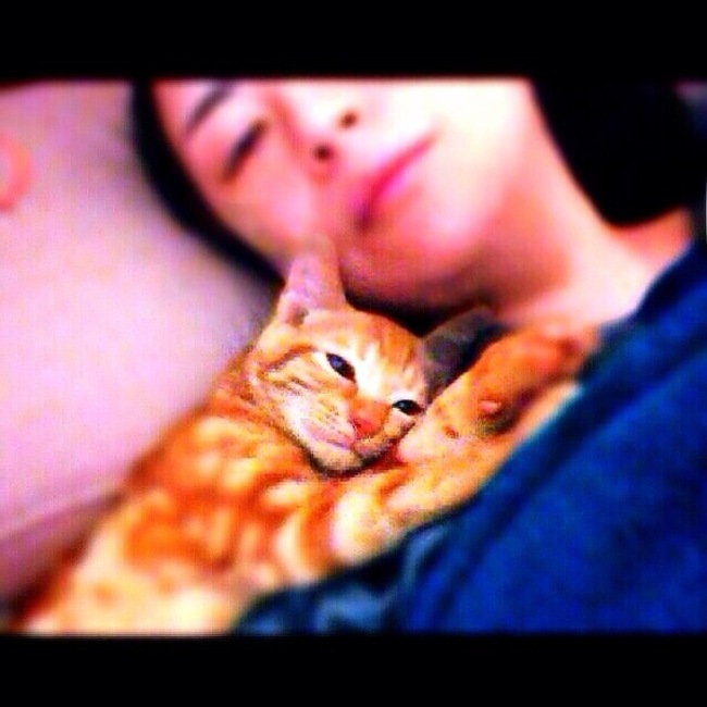 福ニャンコのカバー写真