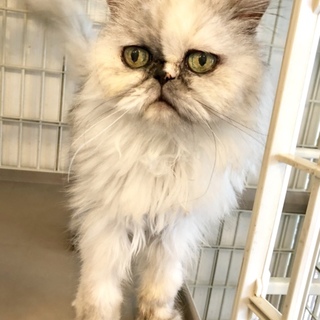 管理番号：OS−362