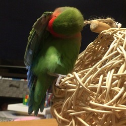 待つ事30分 ♪(*^^)o∀*∀o(^^*)♪