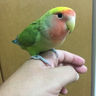 たくさんのご応募ありがとうございました。