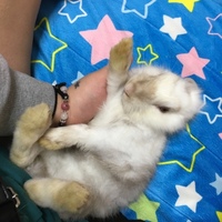うーちゃん