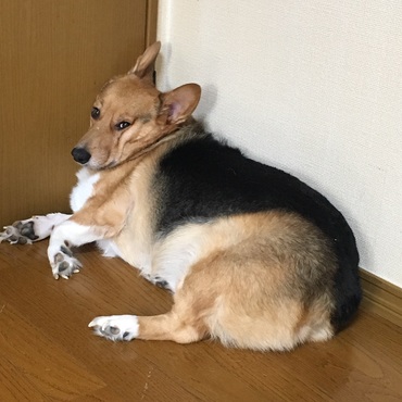 何見てんだよ〰(๑˘･з･˘)