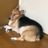 何見てんだよ〰(๑˘･з･˘)