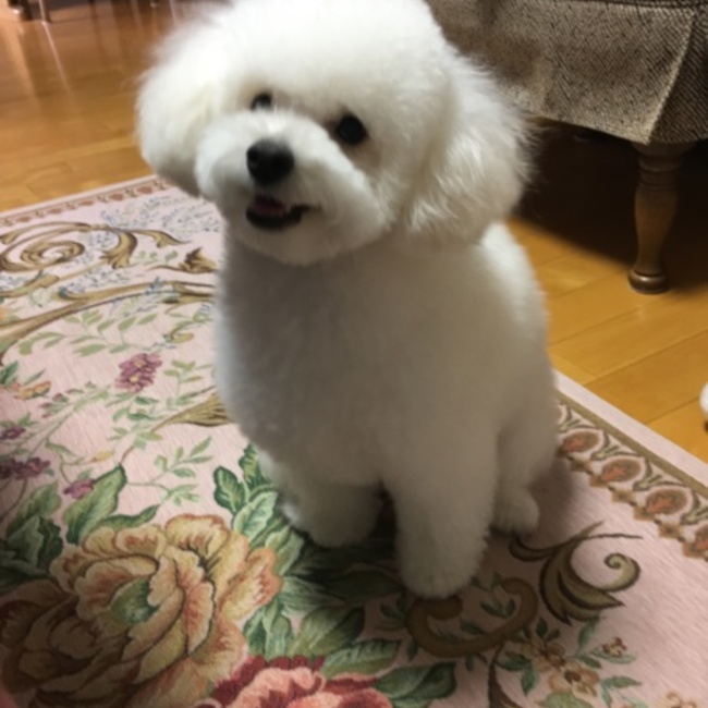 タケダアズサのカバー写真