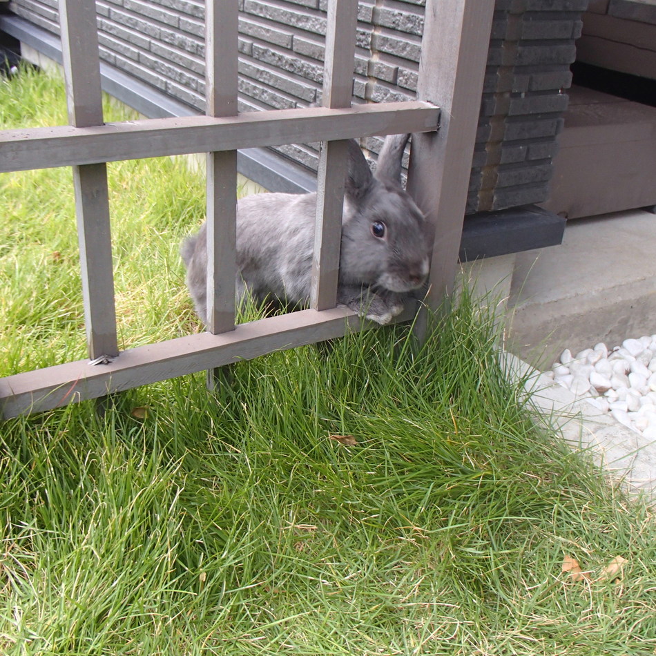 もこのカバー写真