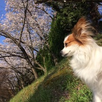 うめ