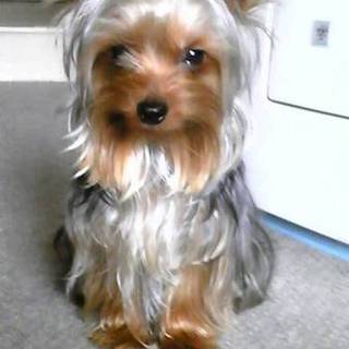 二人目の里親様決定。