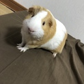 幸せにしてやってください！