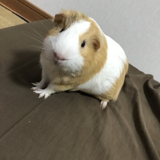 幸せにしてやってください！