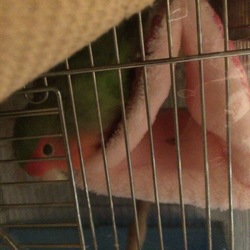 ☆ベッドはいかが？