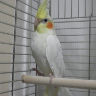 多数の応募有難う御座いました。