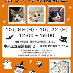 ねこざんまい譲渡会in東日本橋