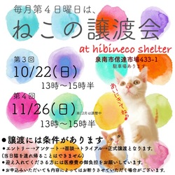 hibineco《ねこの譲渡会》