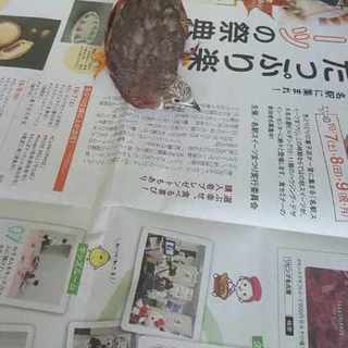 姫ウズラを譲ります　オス1羽