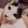 ゆき