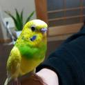 ありがとうございました！
