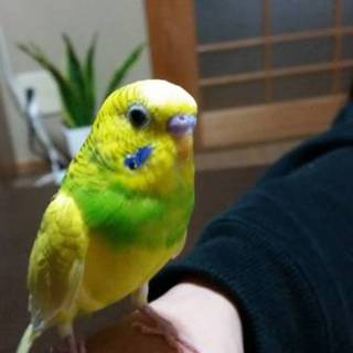 ありがとうございました！