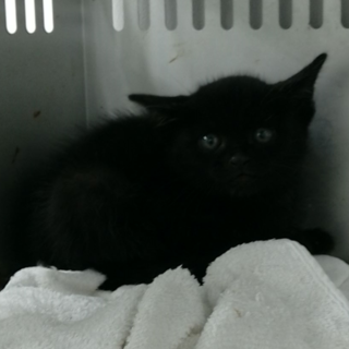 今夜で収容期限を迎えます。