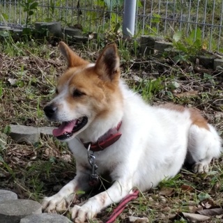 朝からいっぱいナデナデしてー！