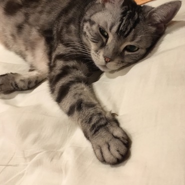 ありし日のSri Jnana