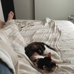 ちーちゃんとおとーさん