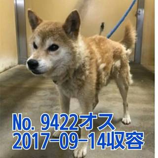 時間がありません！搬送、空輸します。